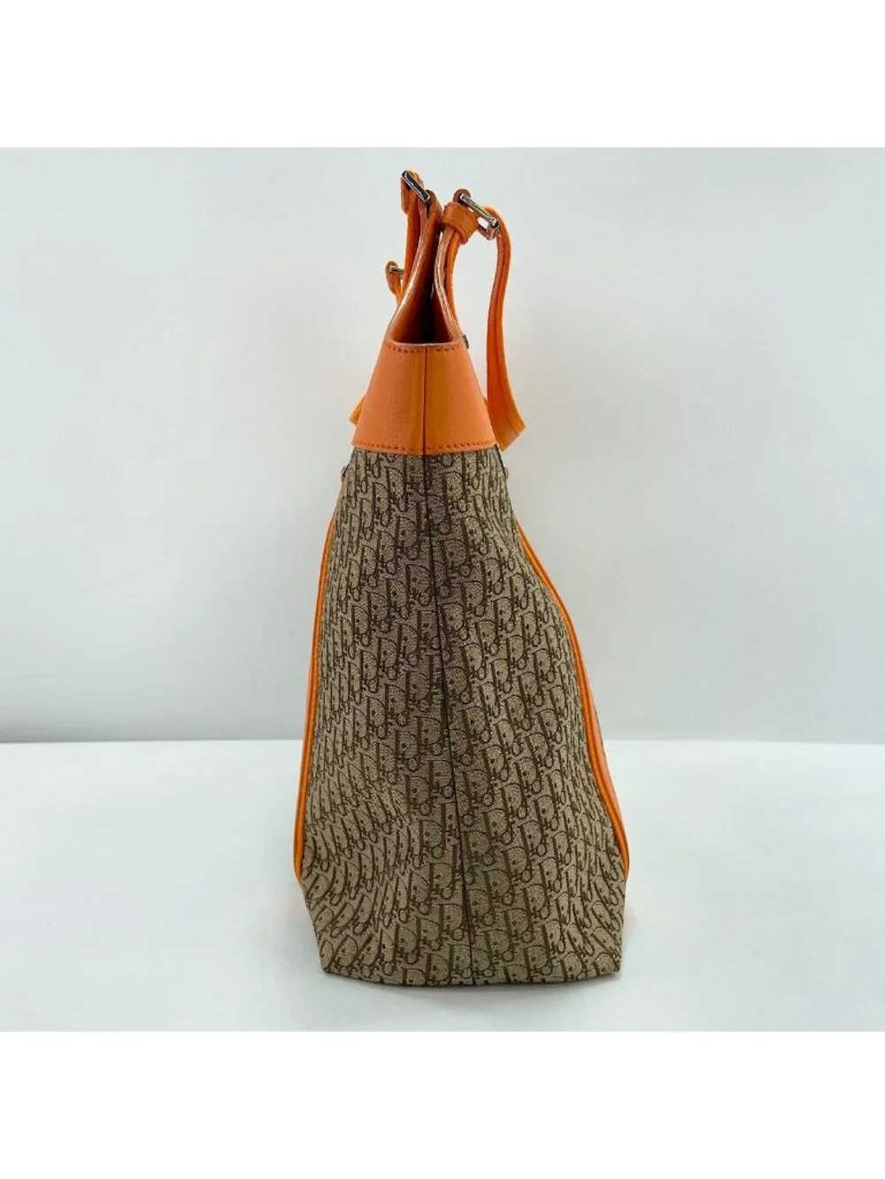 Dior Tote Street Chic Trotter